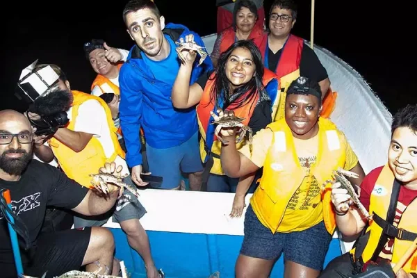 Crab hunting