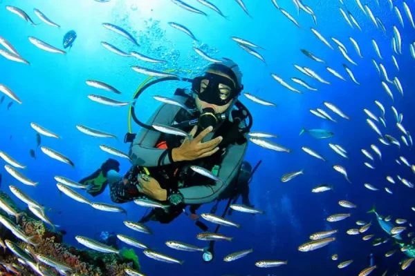 Diving