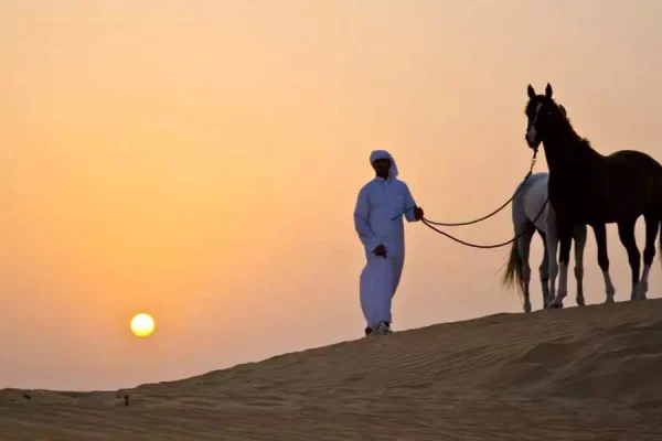 Horseback riding