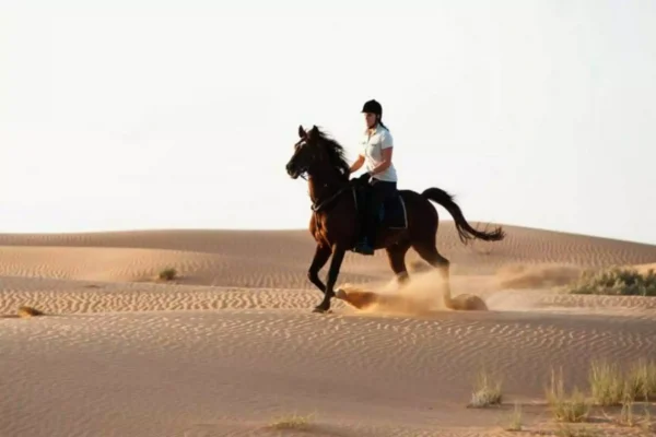 Horseback riding
