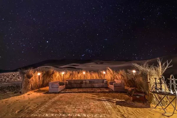 Night safari