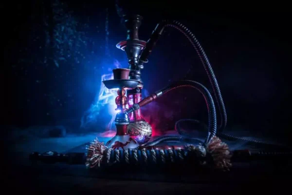 Night safari