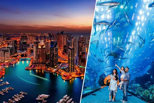 Progressive Dubai + Aquarium (Group)