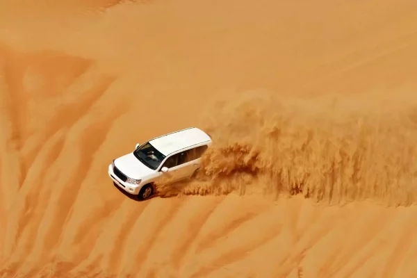 VIP Desert Safari