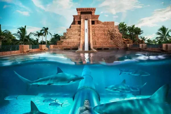 Aquaventure Waterpark