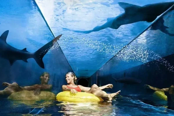 Aquaventure Waterpark
