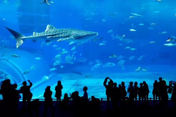 Dubai Aquarium