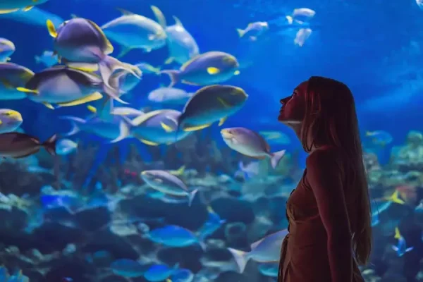 Dubai Aquarium
