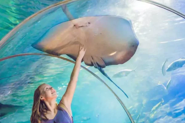 Dubai Aquarium