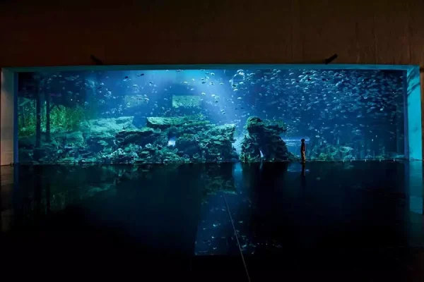 Dubai Aquarium