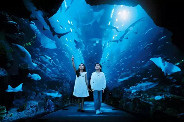 Dubai Aquarium