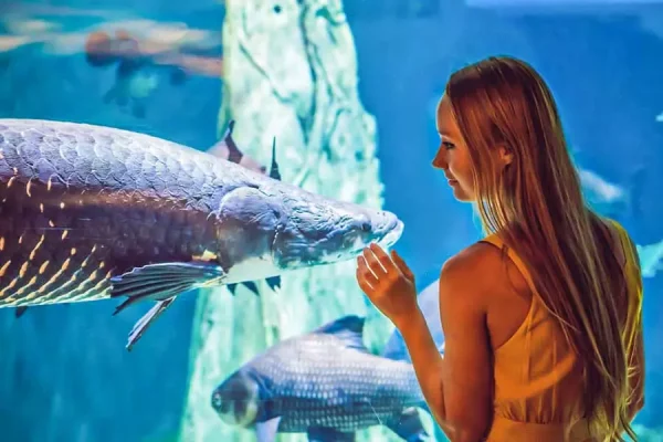 Dubai Aquarium