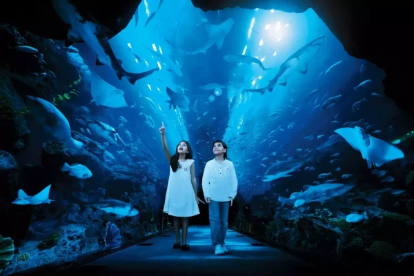 Dubai Aquarium