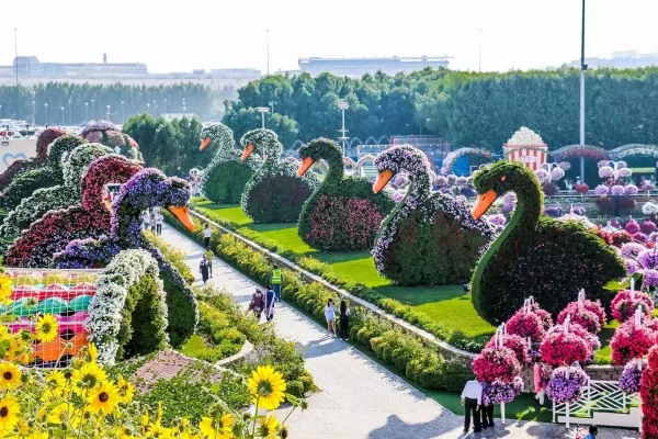 Miracle Garden