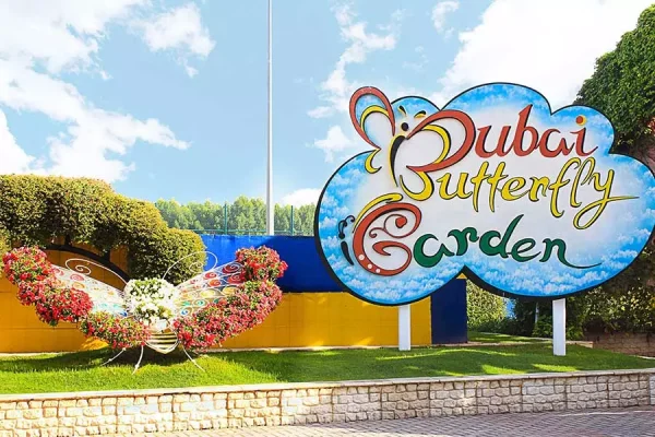 Miracle Garden