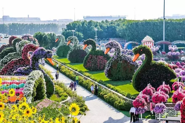 Miracle Garden