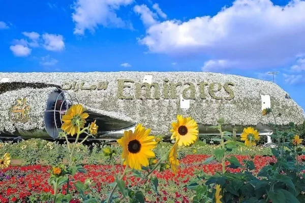 Miracle Garden