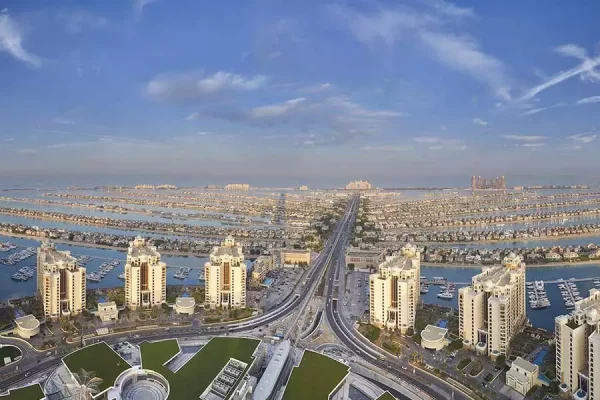 The View of Palm