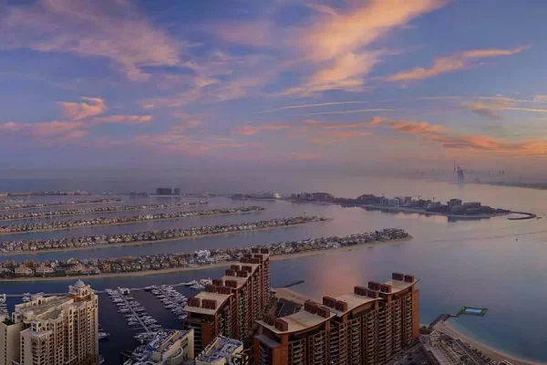 The View of Palm