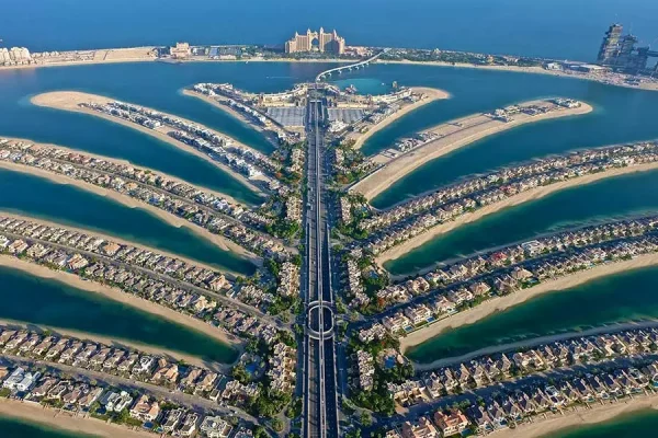 The View of Palm