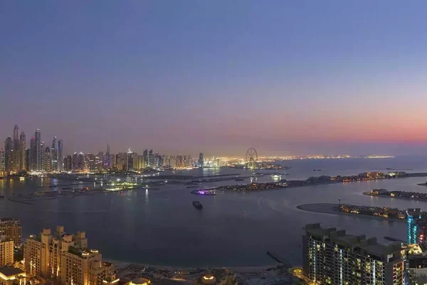 The View of Palm
