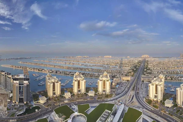 The View of Palm