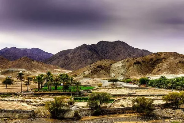 Tour of Fujairah