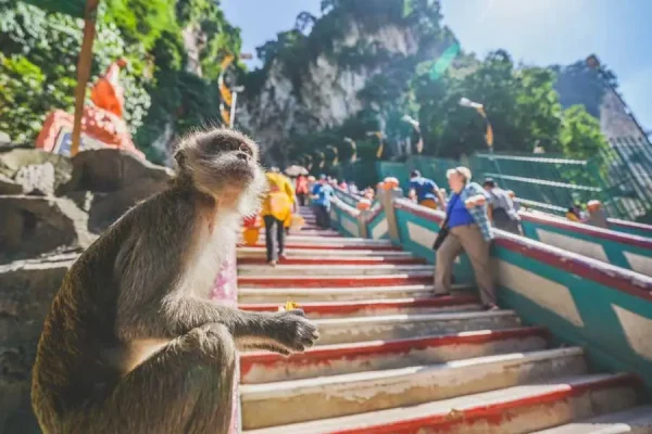 Batu Caves and Royal Selangor | Kuala Lumpur - Image 3