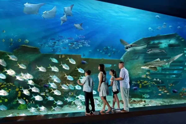 Day Trip to Sentosa Island - Image 7