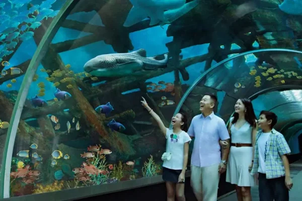 Day Trip to Sentosa Island - Image 6