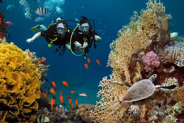 Diving Courses with a PADI License | Langkawi — изображение 4