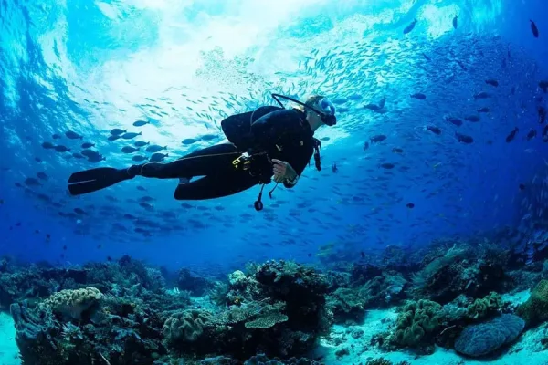 Diving Courses with a PADI License | Langkawi — изображение 7