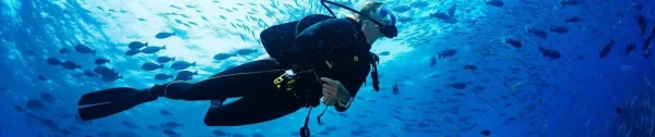 Diving Courses with a PADI License | Langkawi