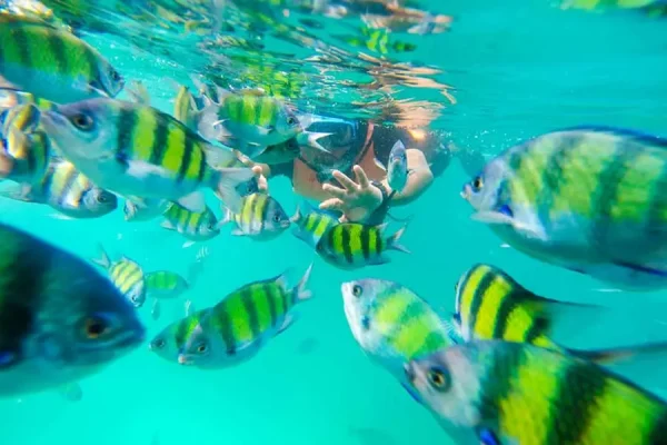 Diving & Snorkeling with a Mask  | Langkawi — изображение 4