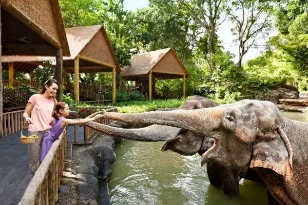 Excursion to Singapore Zoo - Image 3