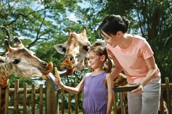 Excursion to Singapore Zoo - Image 4