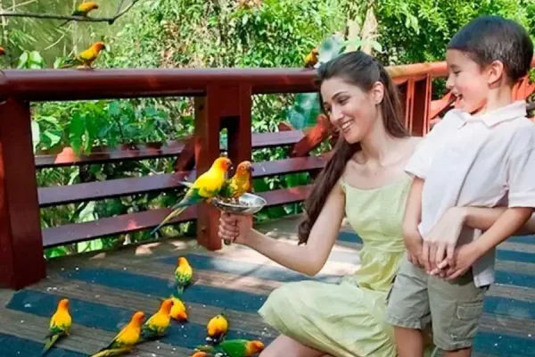 JURONG Bird Park Tour - Image 6