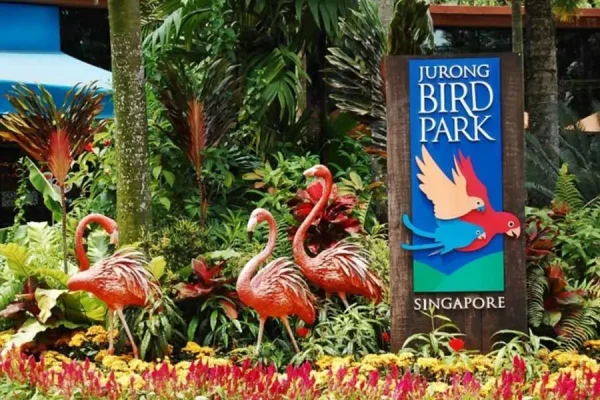JURONG Bird Park Tour - Image 7