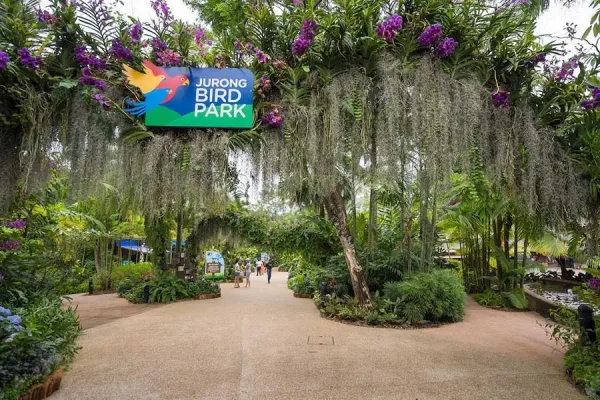 JURONG Bird Park Tour - Image 8