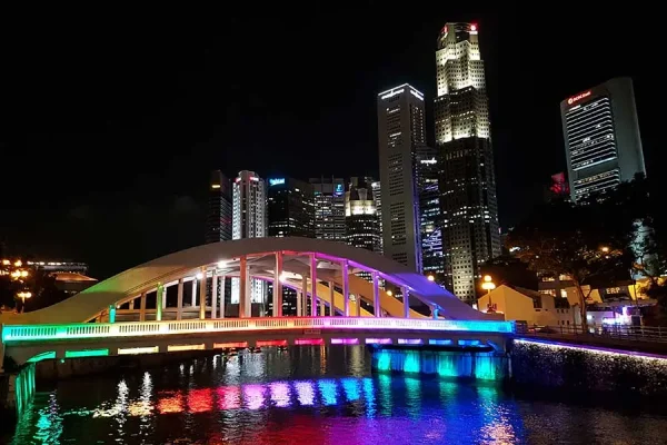 Singapore Night Tour - Image 4