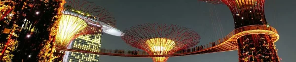 Singapore Night Tour