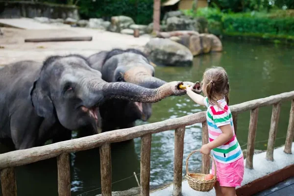 Singapore River Safari Park - Image 6