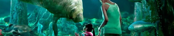 Singapore River Safari Park