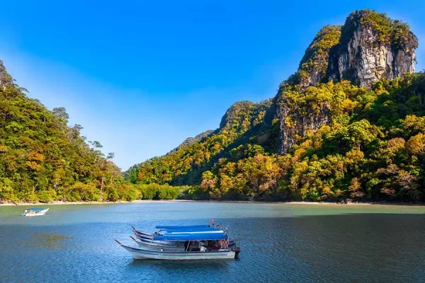 Tour Along Mangrove Jungles & Lunch  | Langkawi — изображение 2