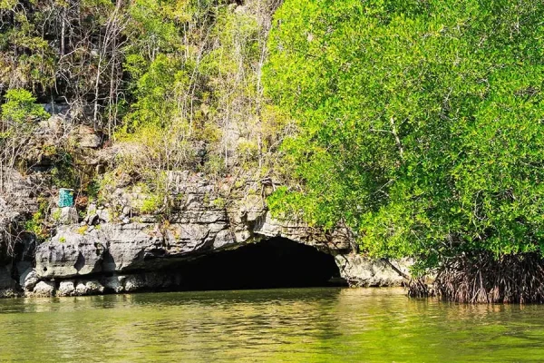 Tour Along Mangrove Jungles & Lunch  | Langkawi — изображение 6