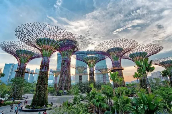 Walking Tour Ferris Wheel + Gardens by the Bay - Image 5