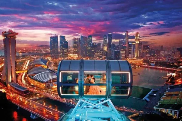 Walking Tour Ferris Wheel + Gardens by the Bay - Image 4