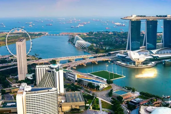 Walking Tour Ferris Wheel + Gardens by the Bay - Image 2