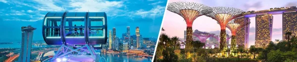 Walking Tour Ferris Wheel + Gardens by the Bay