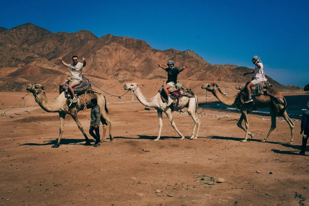 Camel Riding and Bedouin Culture in desert safari dubai